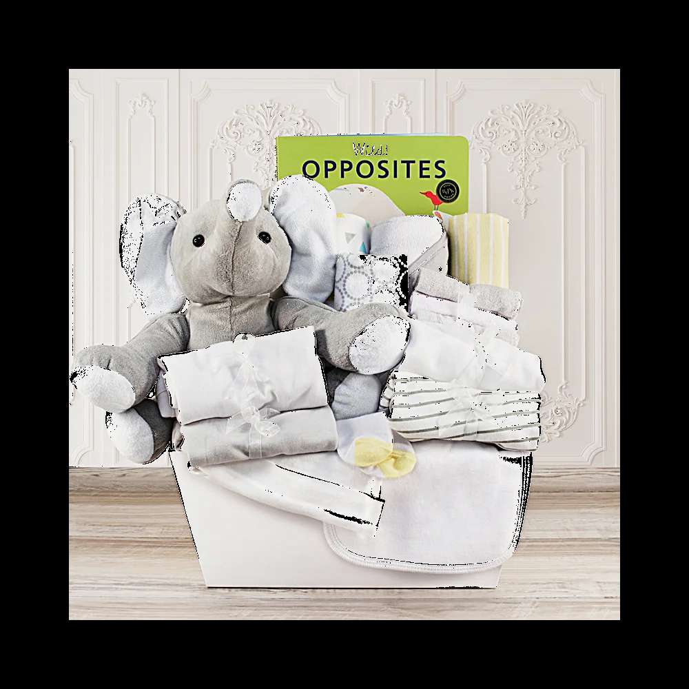 Welcome Home Baby Large Gift Basket