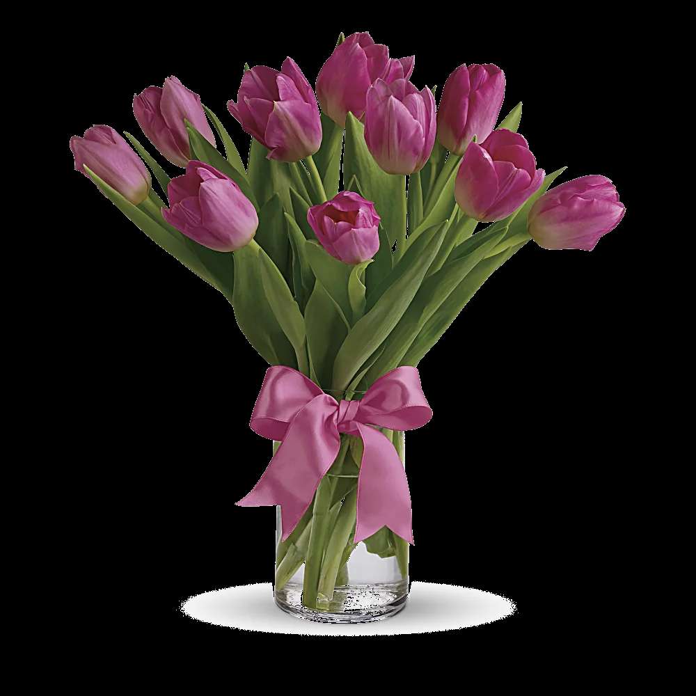 Precious Pink Tulips