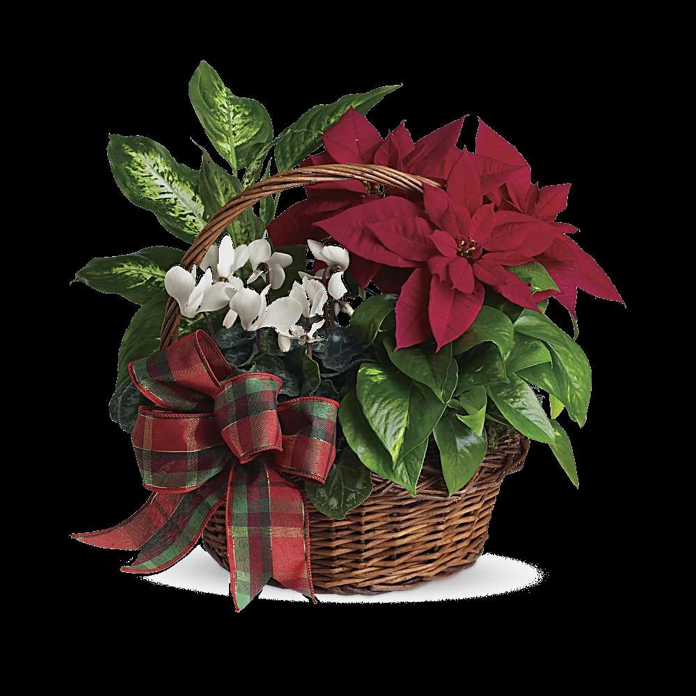 Holiday Homecoming Basket