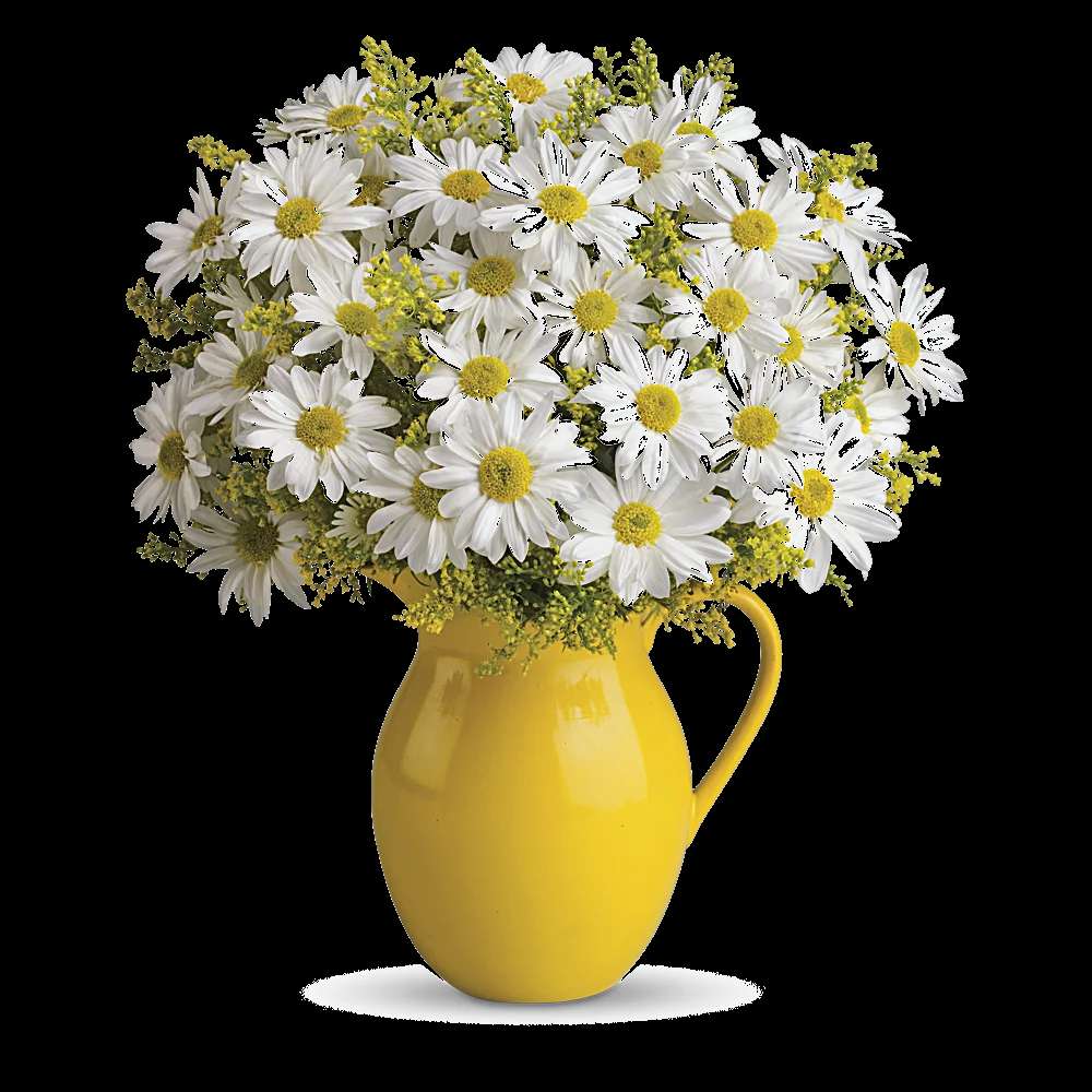 Teleflora's Sunny Day Pitcher of Daisies