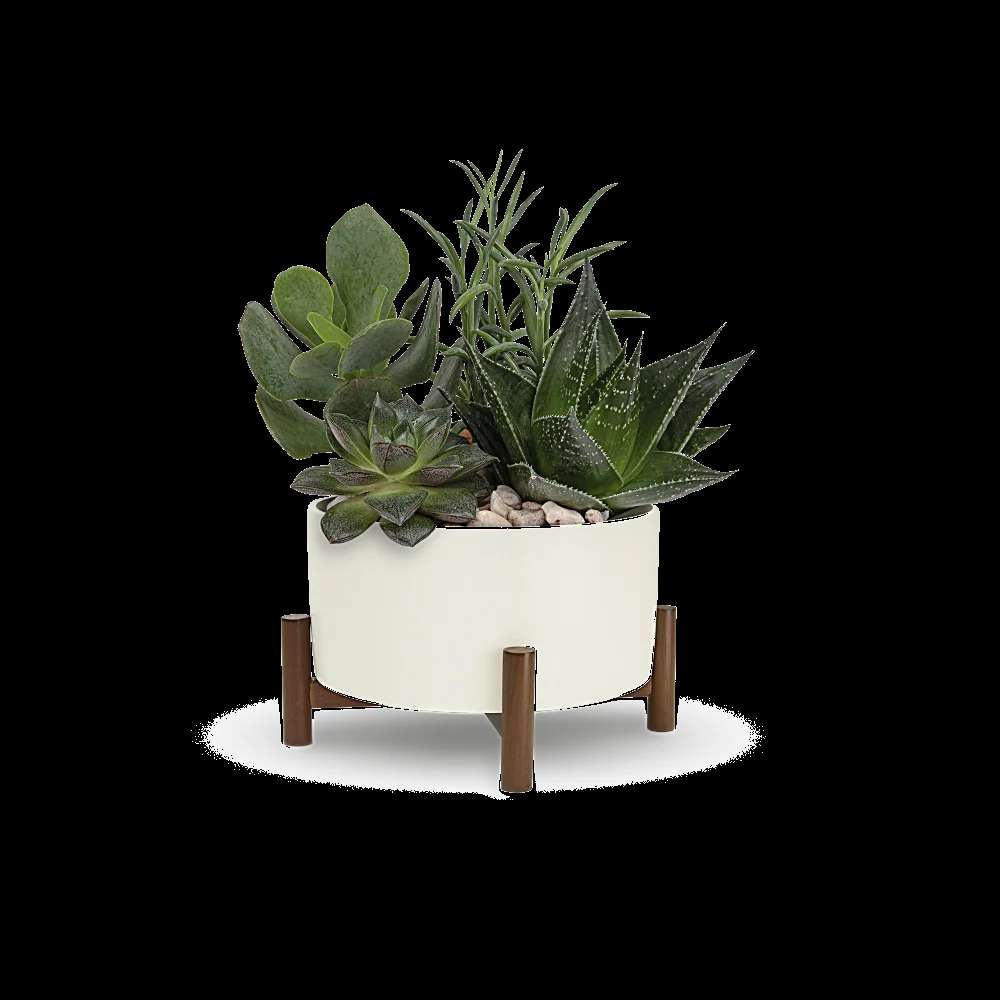 Teleflora's Mid-Century Garden