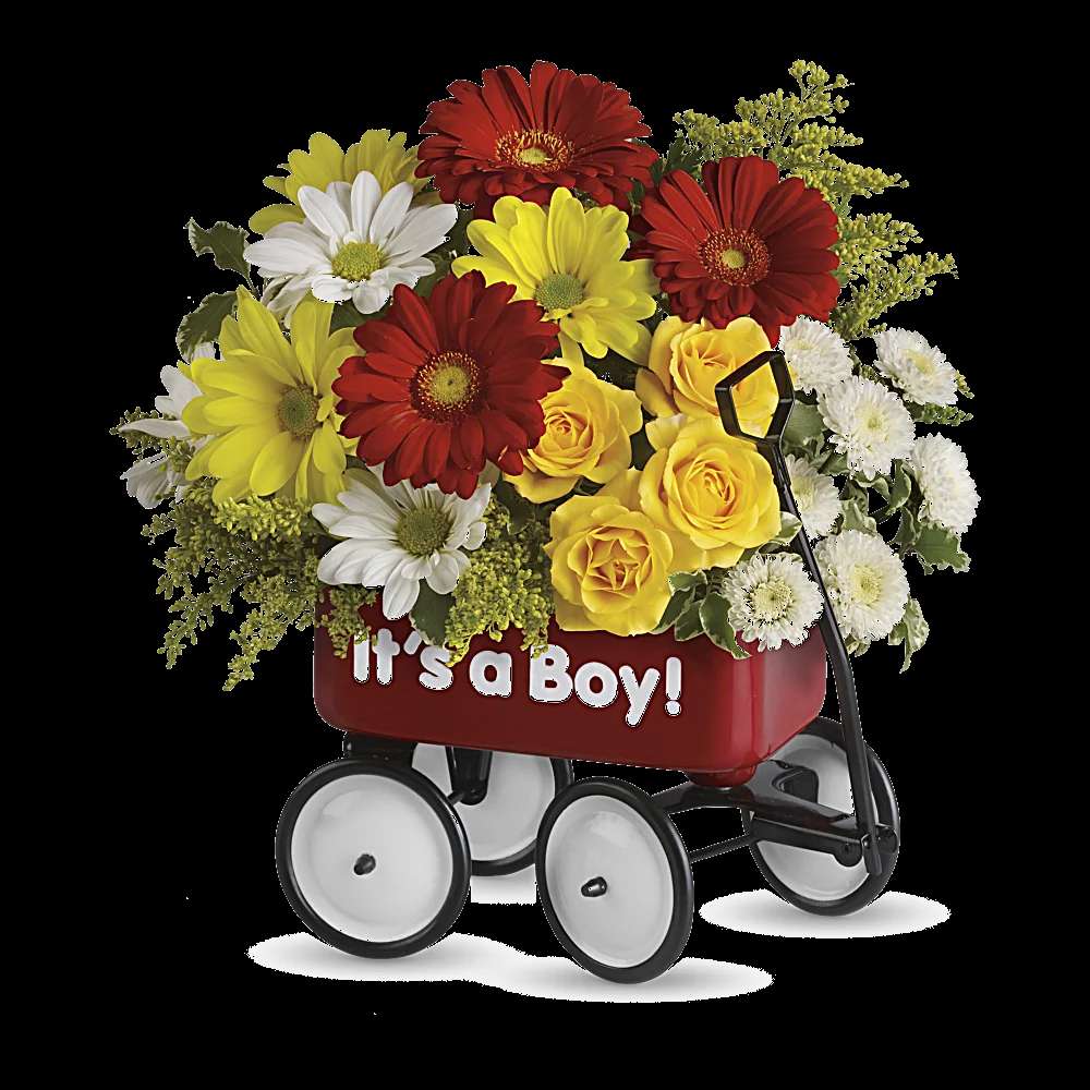 Baby's Wow Wagon by Teleflora - Boy