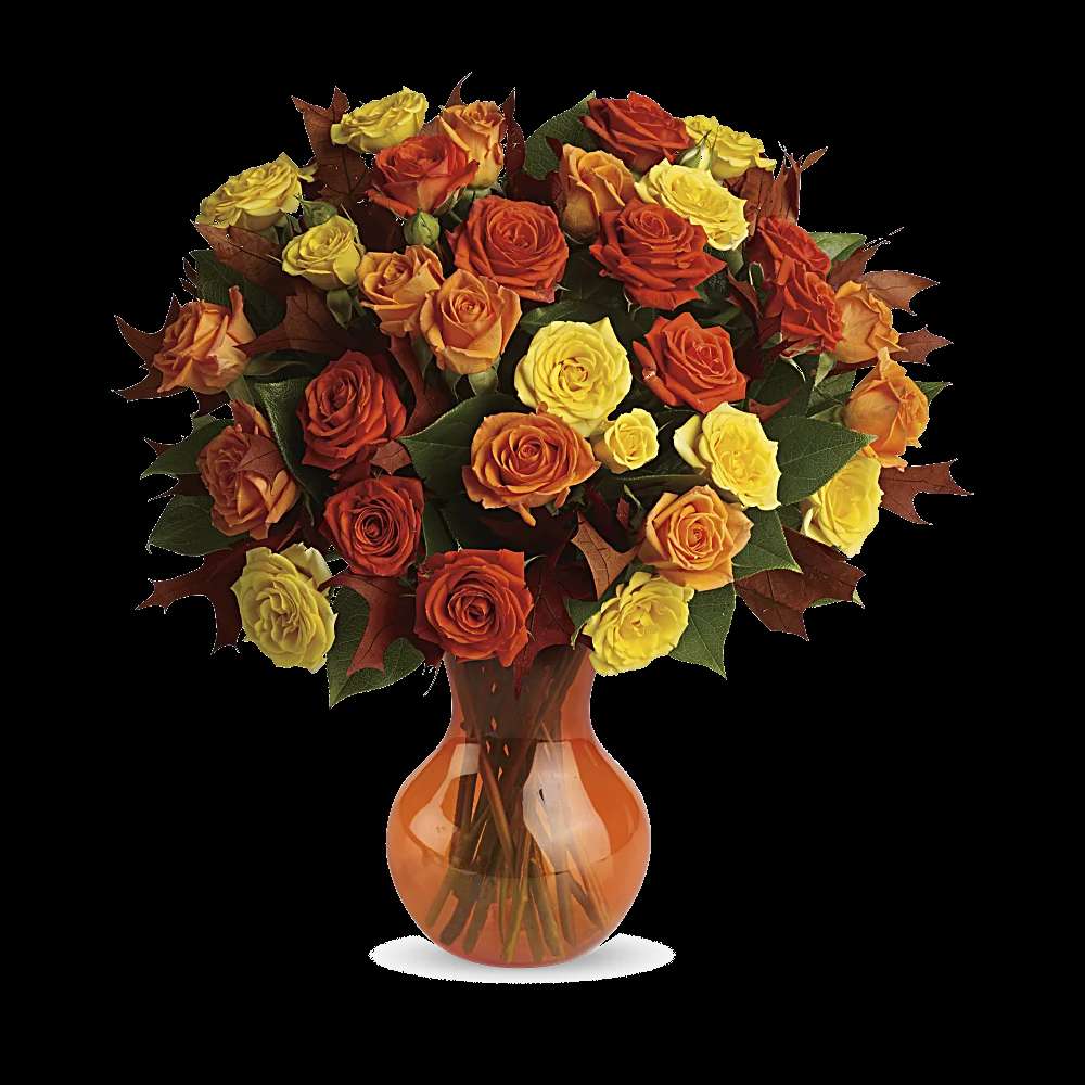 Teleflora's Fabulous Fall Roses