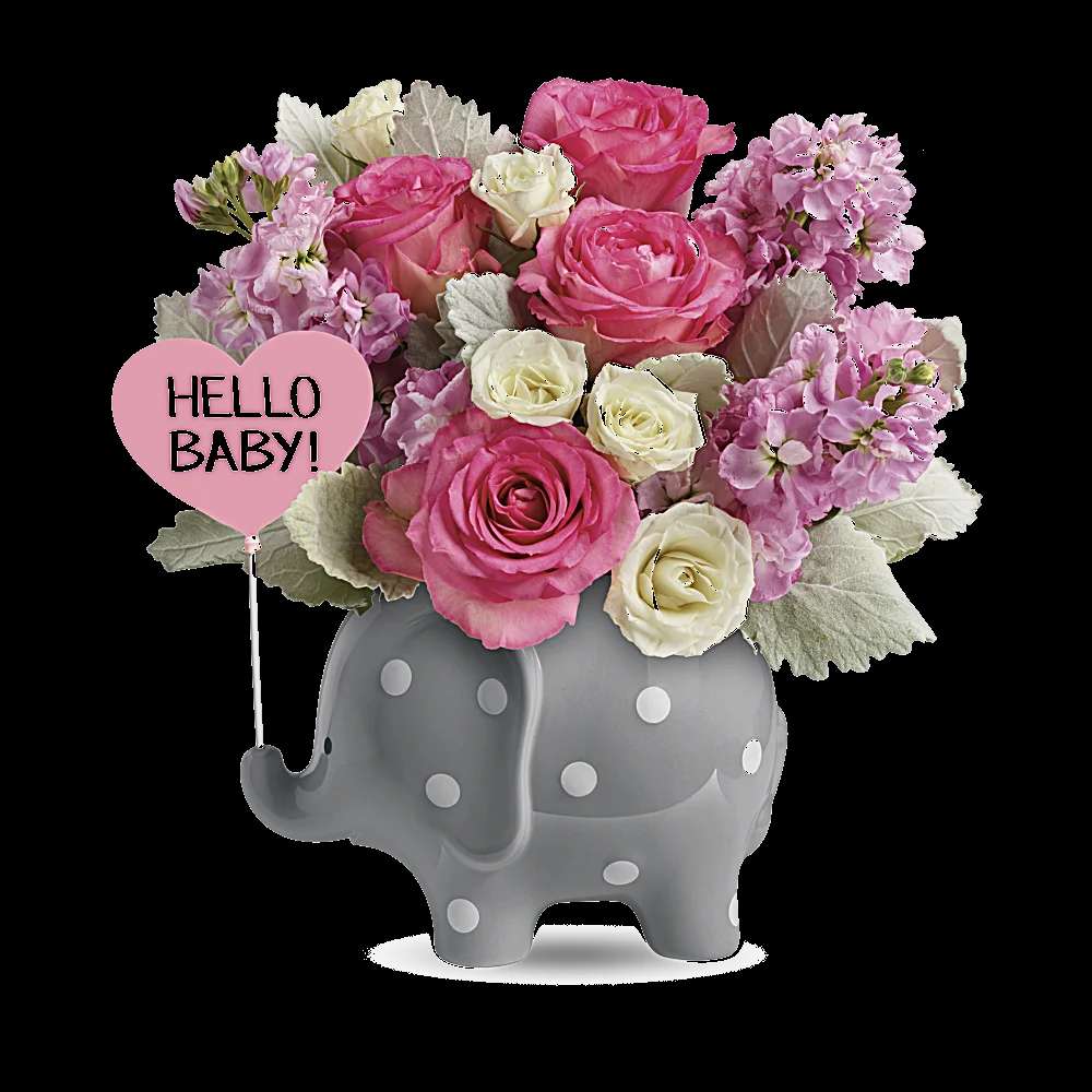 Teleflora's Hello Sweet Baby - Pink