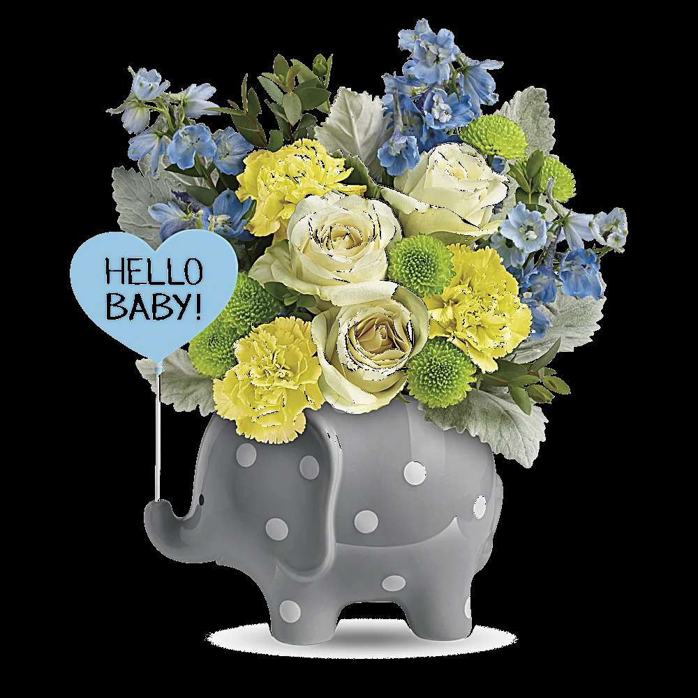 Teleflora's Hello Sweet Baby - Blue