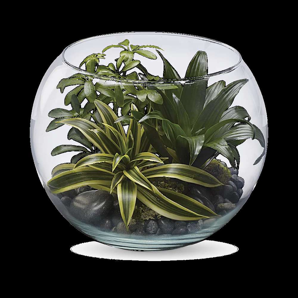 Sphere Of Tranquility Terrarium
