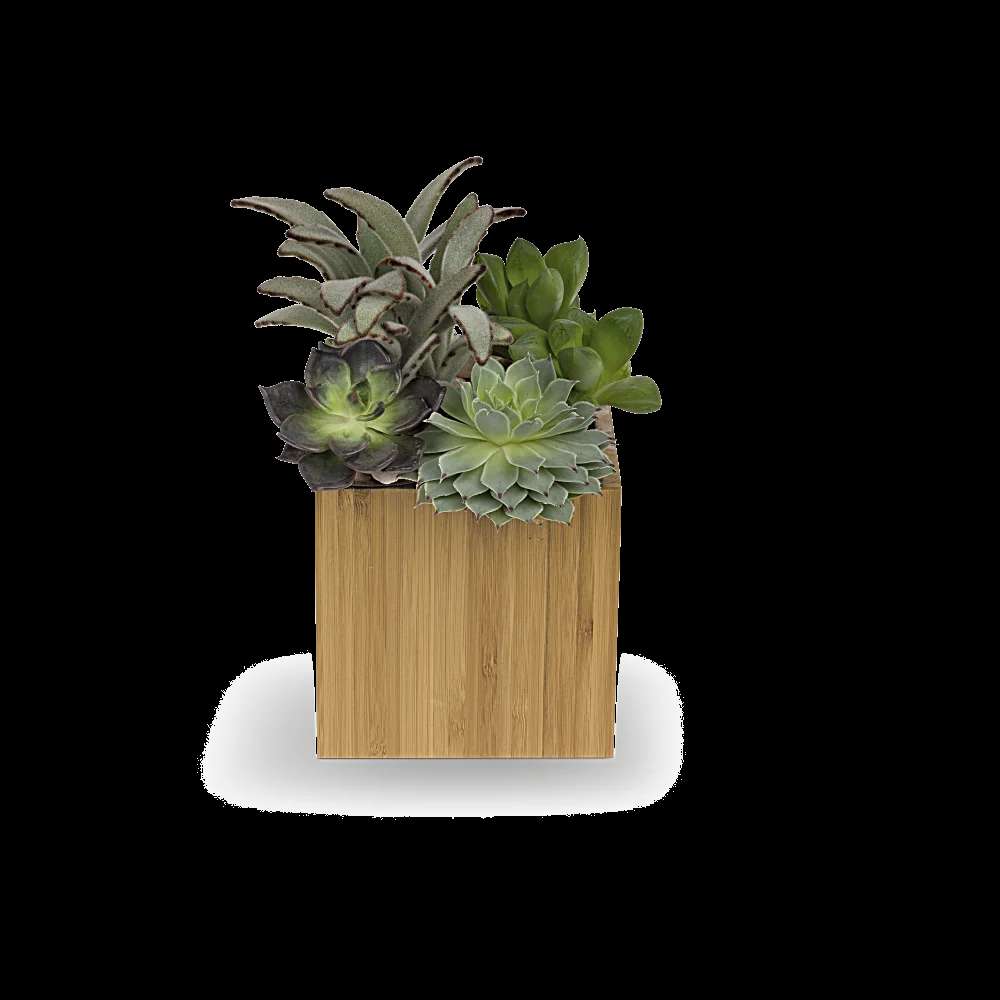 Teleflora's Mindful Moment Garden