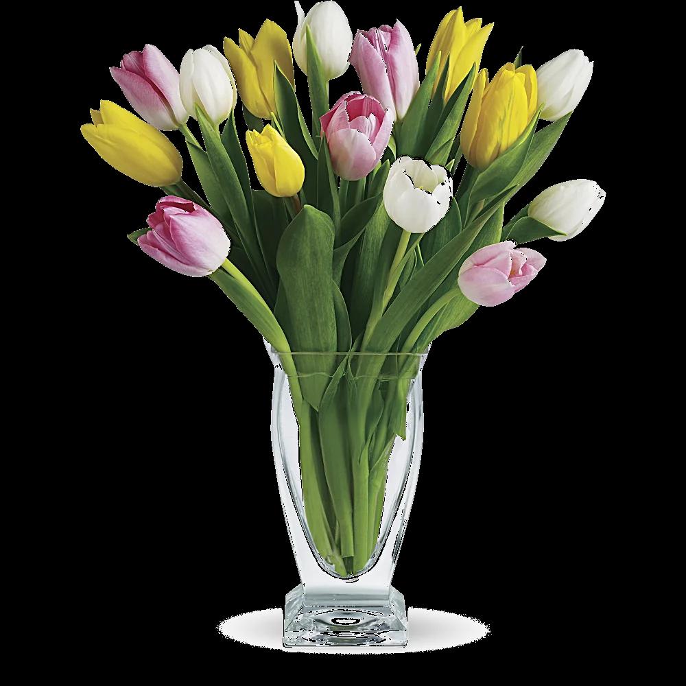 Teleflora's Tulip Treasure