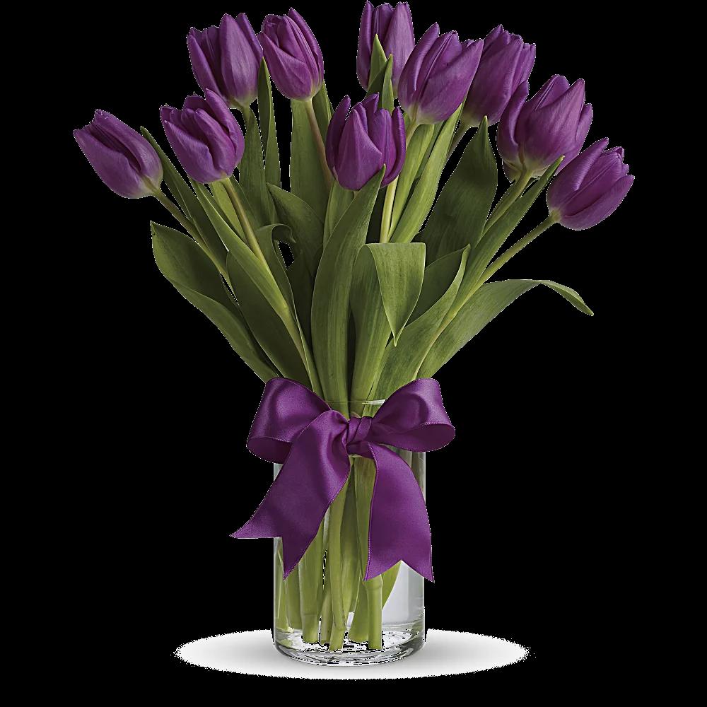 Passionate Purple Tulips