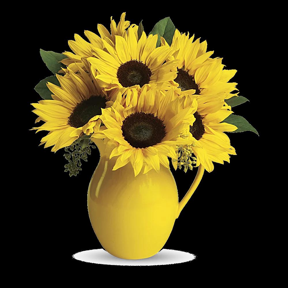 Teleflora's Sunny Day Pitcher of Sunflowers