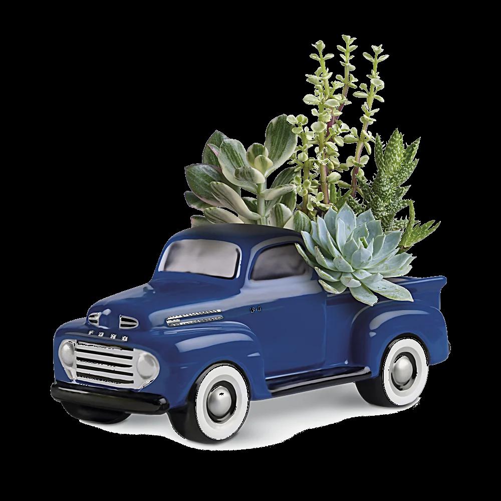 His Favorite Ford F1 Pickup by Teleflora