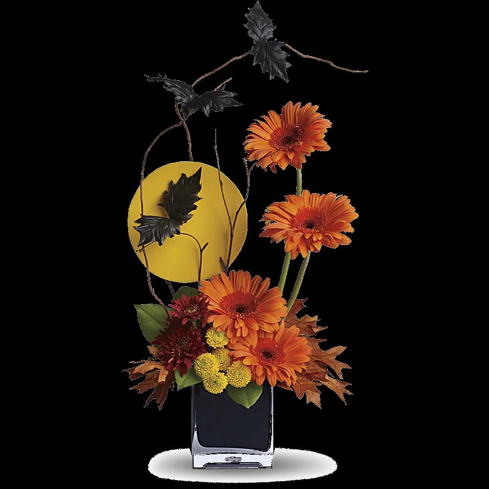 Teleflora's Boo-tiful Bats