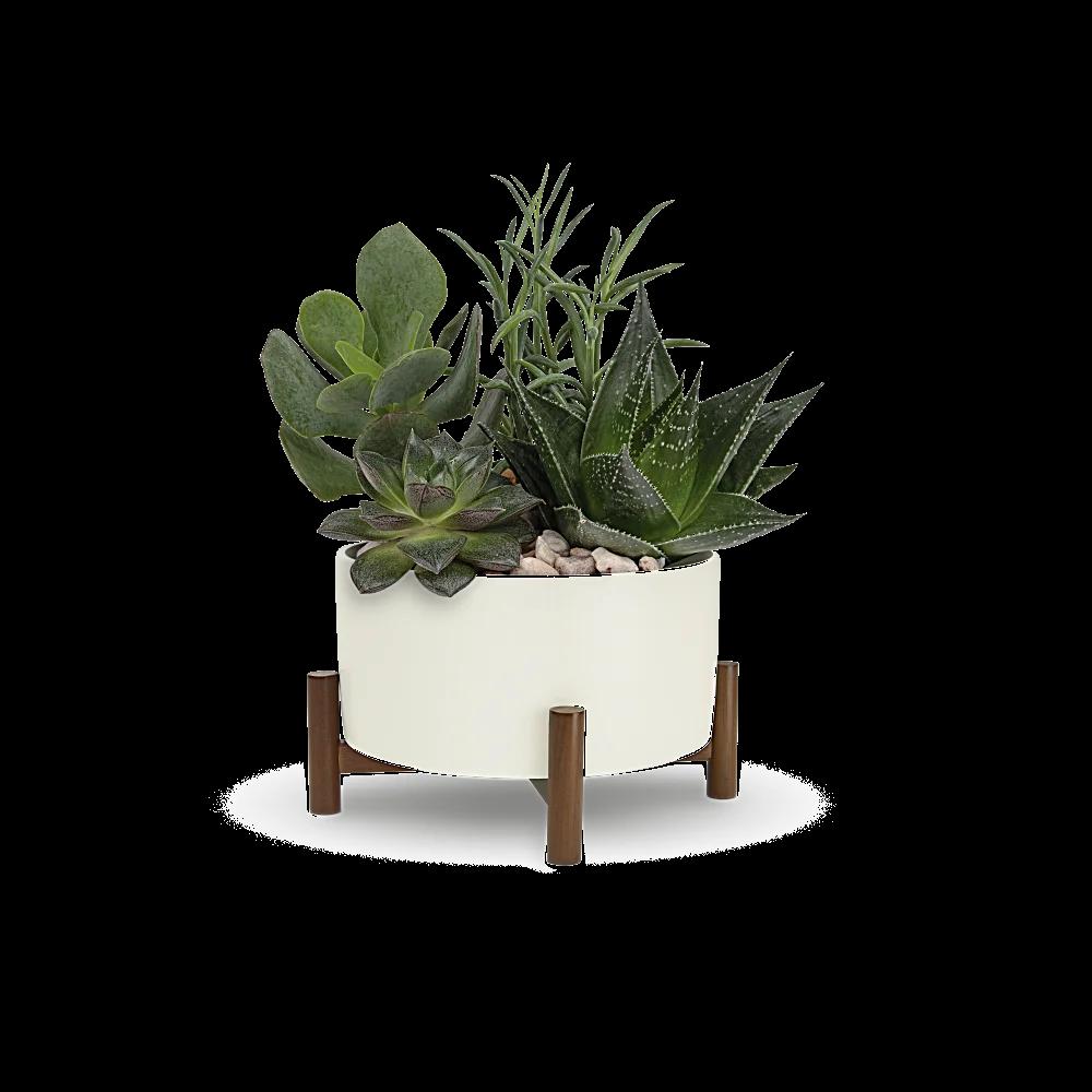 Teleflora's Mid-Century Garden