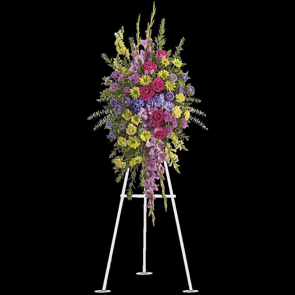 Bright and Beautiful Spray