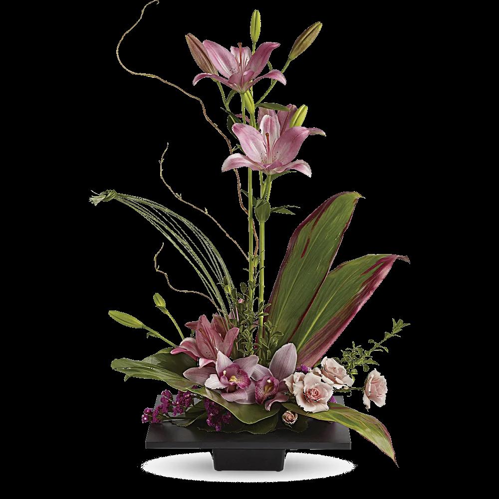 Imagination Blooms with Cymbidium Orchids