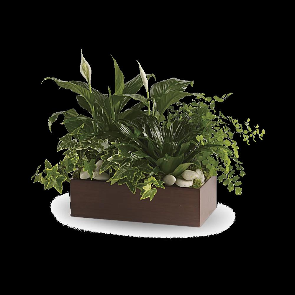 Teleflora's Quiet Expressions