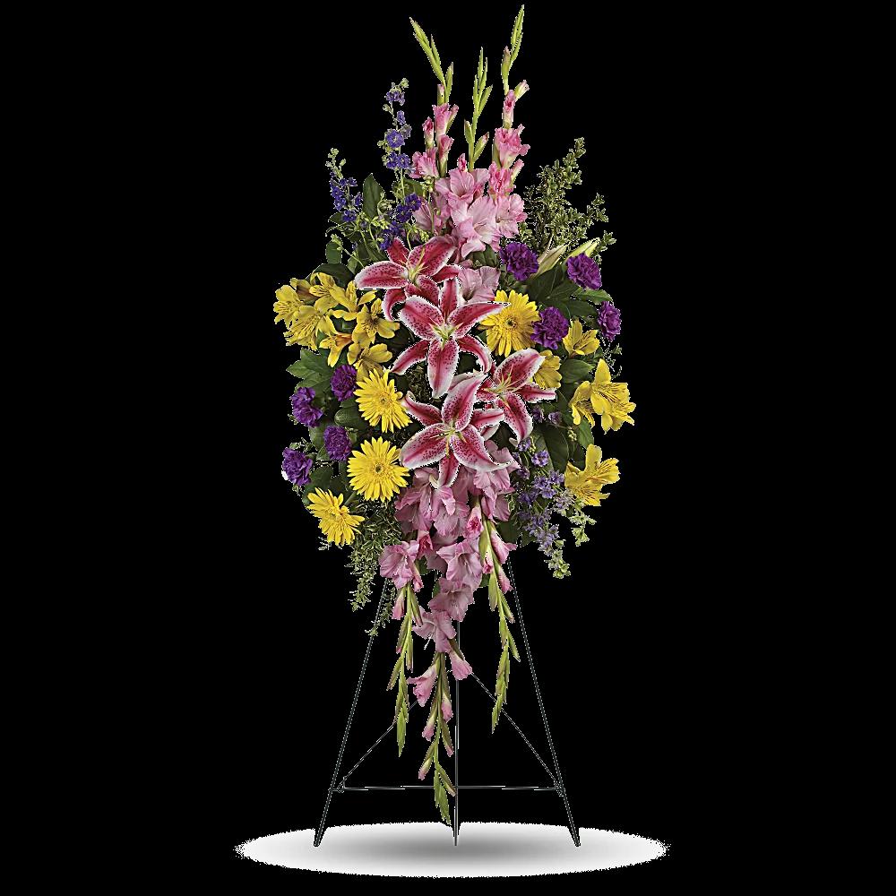 Rainbow Of Remembrance Spray