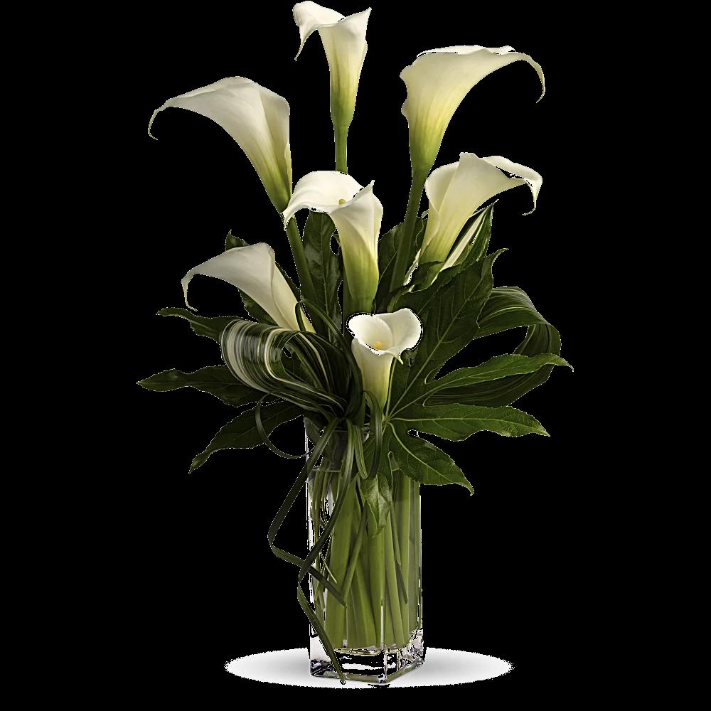 My Fair Lady by Teleflora