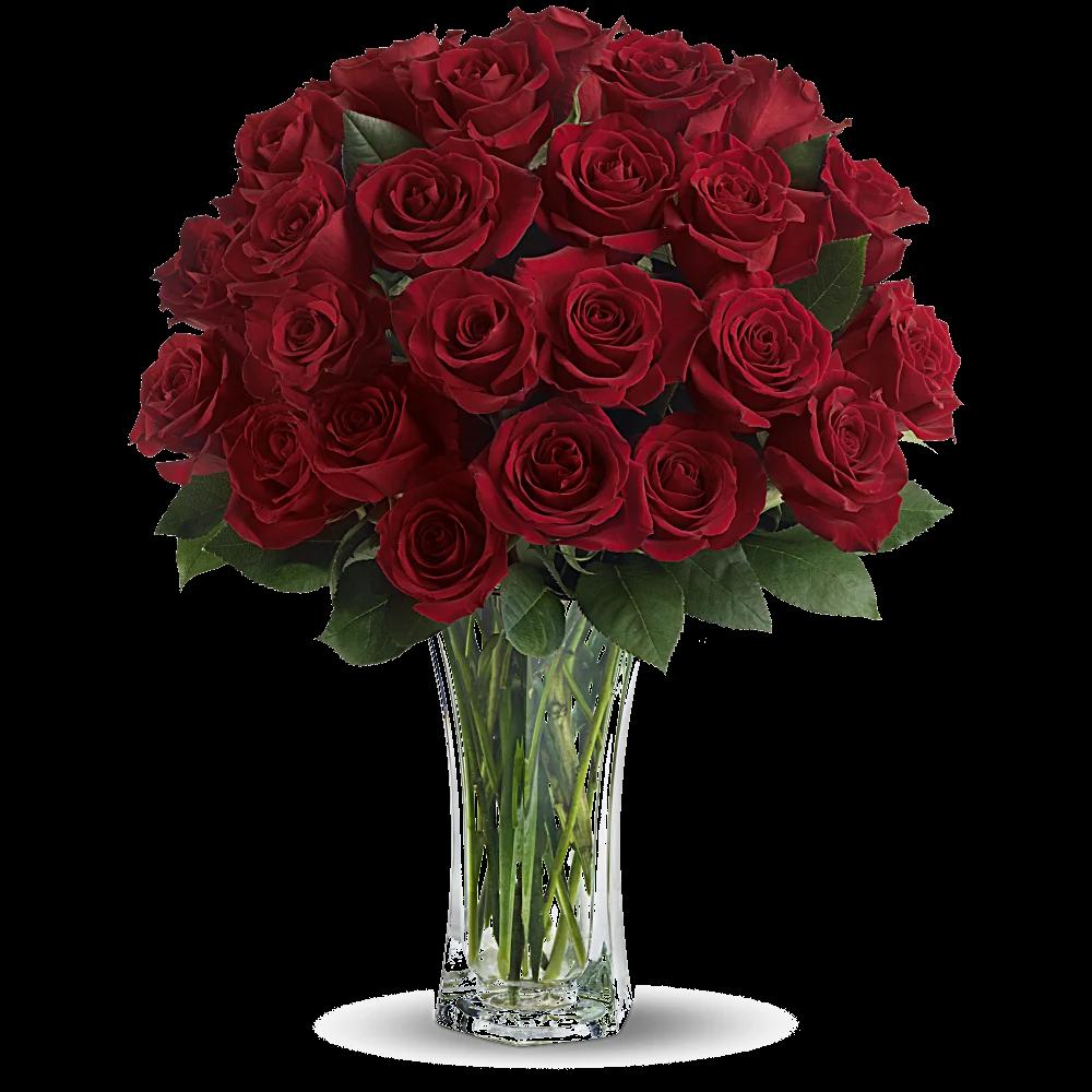Love and Devotion - Long Stemmed Red Roses