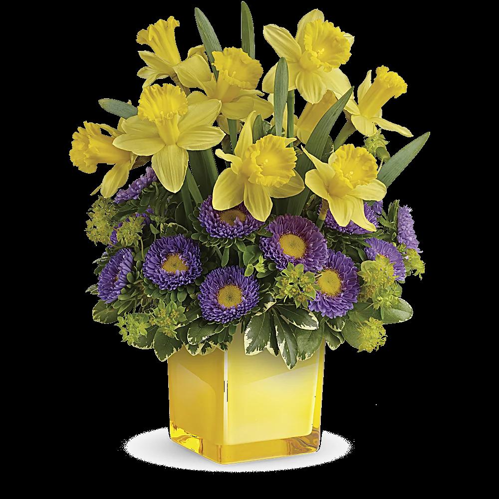 Teleflora's Playful Springtime Daffodil Bouquet
