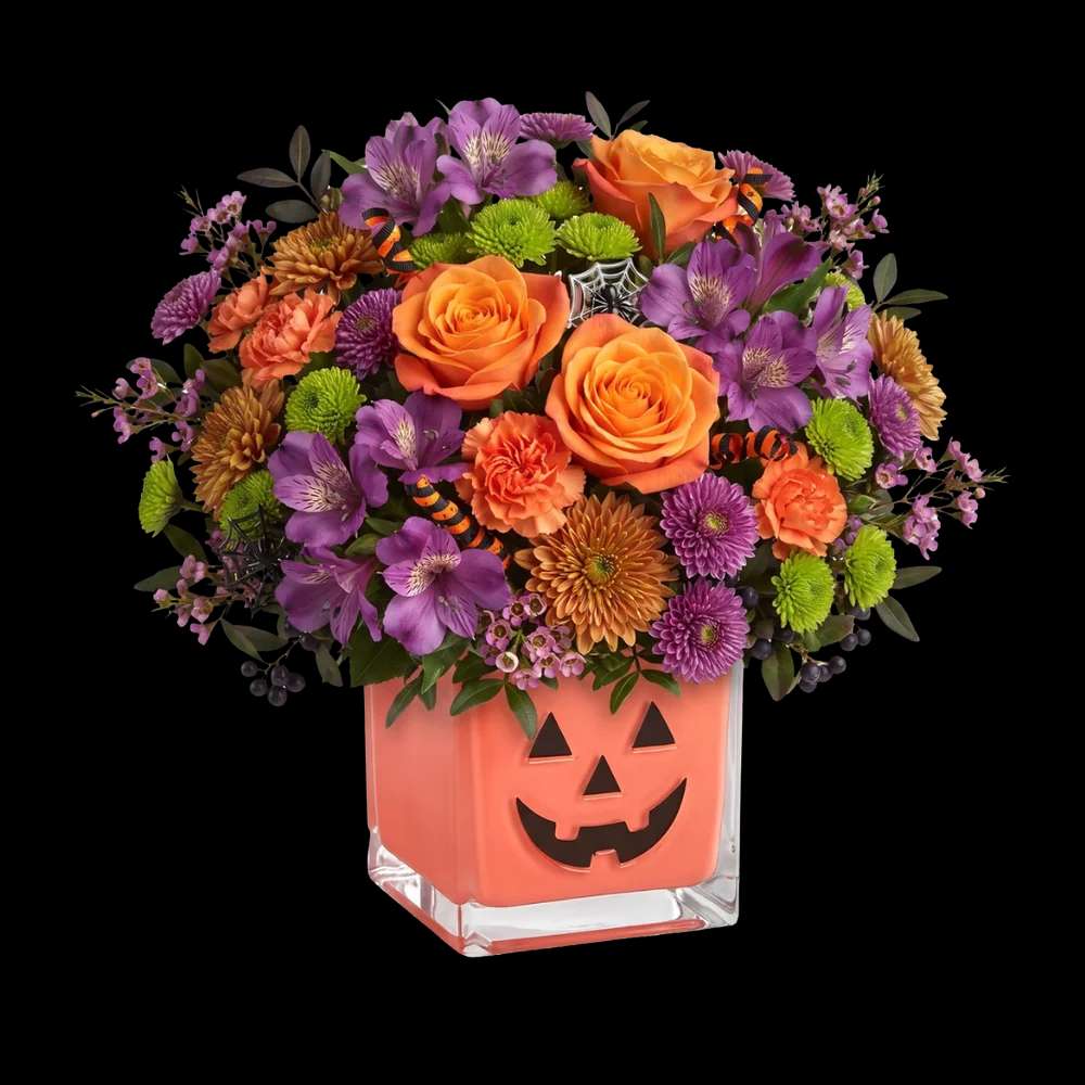 Coral Lantern